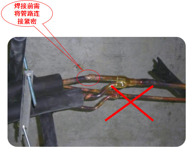 1697423370384448.jpg 17.jpg