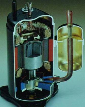 1700010810459754.jpg 2.jpg