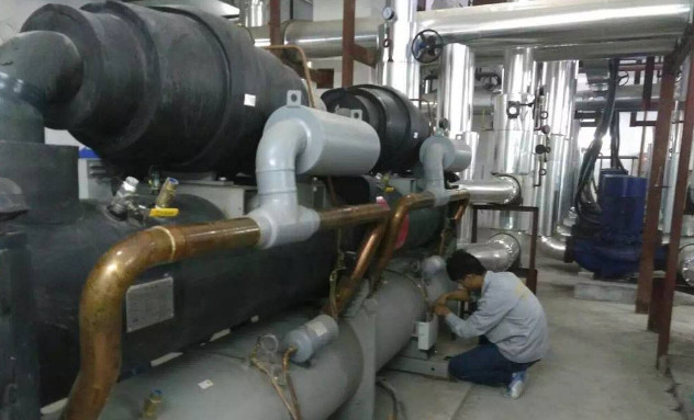 1702429047815603.jpg 2.jpg