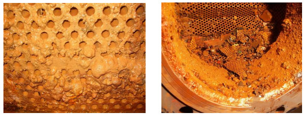 1703124795962531.jpg 1.jpg