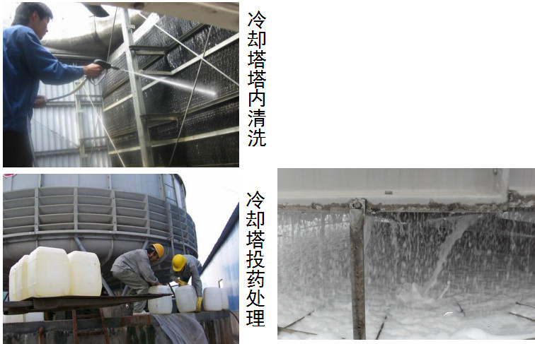 1703124813961357.jpg 3.jpg