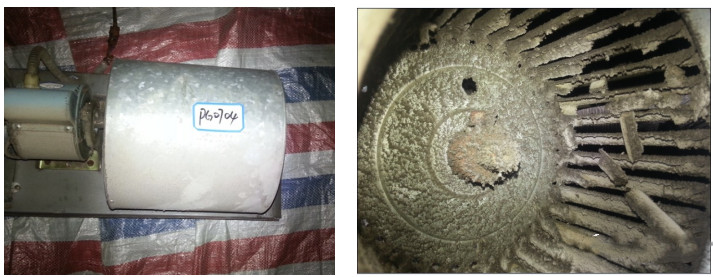 1703124863937619.jpg 8.jpg