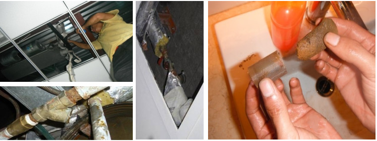 1703124870423208.jpg 9.jpg