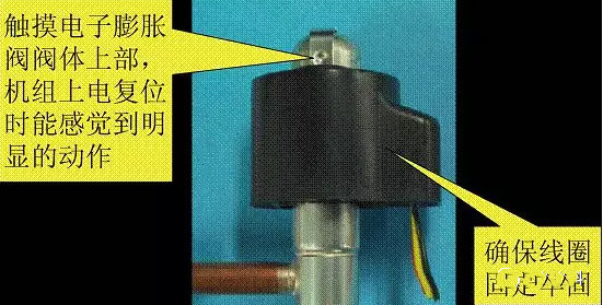 1706232031775075.jpg 3.jpg